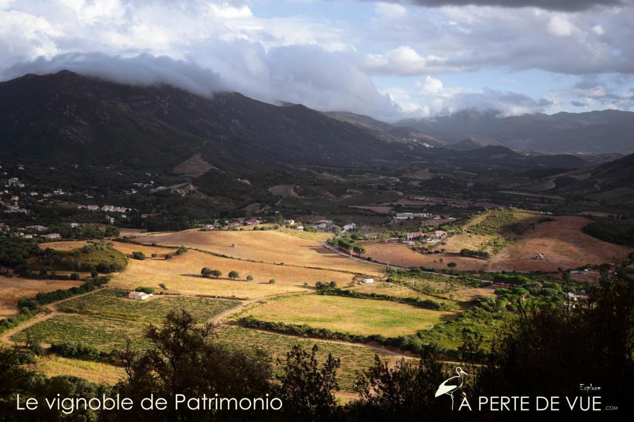 Chambre D'Hotes A 5Mn Des Plages Patrimonio Luaran gambar